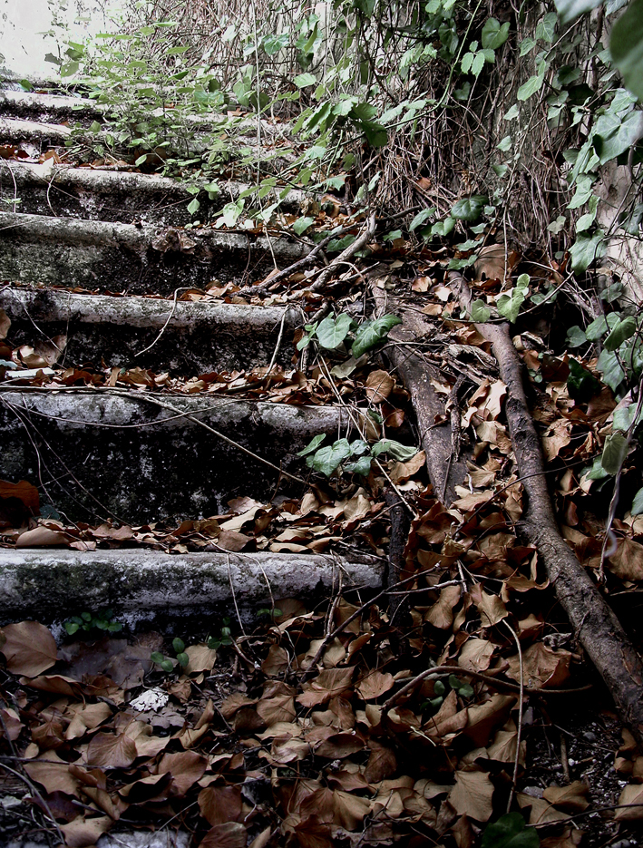 Architectural Photography - Steps to Nowhere